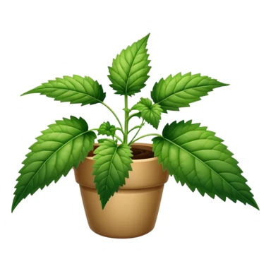 Nettle sticker