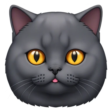 black British shorthair cat sticker