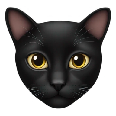 Cite black cat sticker