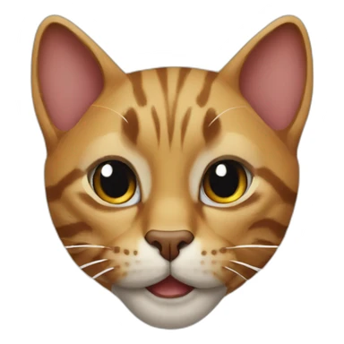 Cat Lebron james sticker