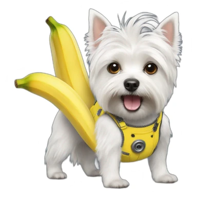 Whest Highland White Terrier dressed as minion with banana sticker