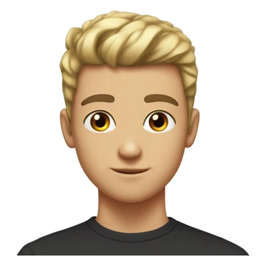 thick eyebrows, an average nose, and black eyes, My hair is styled forward, with shaved sides and bangs that cover my forehead. teenager average guy male 15 years old  sticker