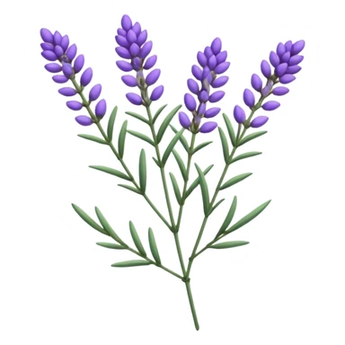 sprig of lavender sticker
