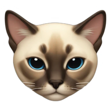 cat Siamese sleeping sticker