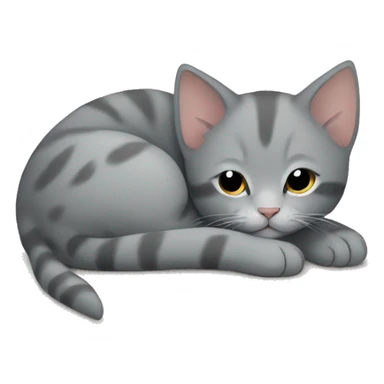 grey kitten sleeping on carpet  sticker