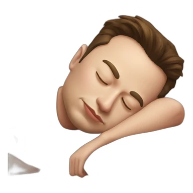Elon musk sleep sticker