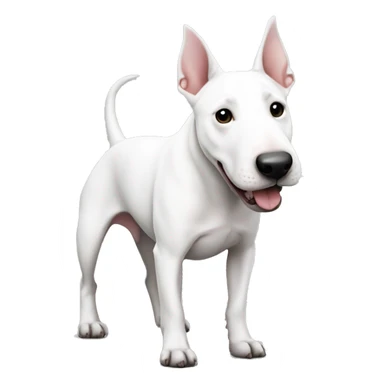 Bull terrier white with black nose like heart  sticker