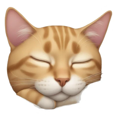 Cat sleeps  sticker