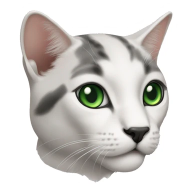 cat kornish rex white with green eyes and black nose sticker