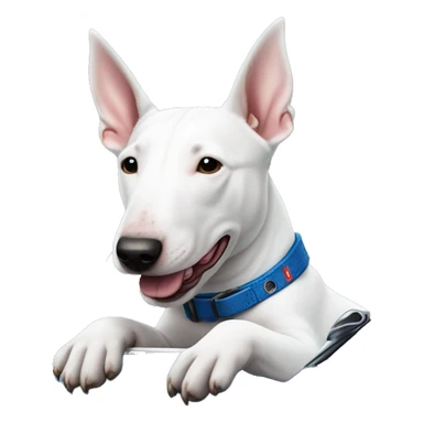 Bull terrier in blue c6 corvette sticker