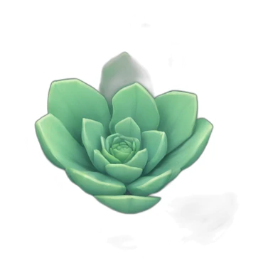 Léo succulent sticker