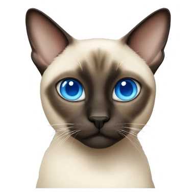 Siamese cat with blue eyes sticker