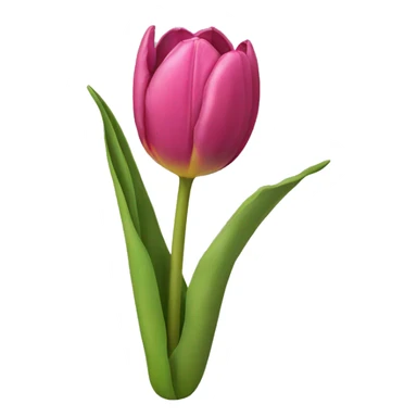 Tulpe sticker