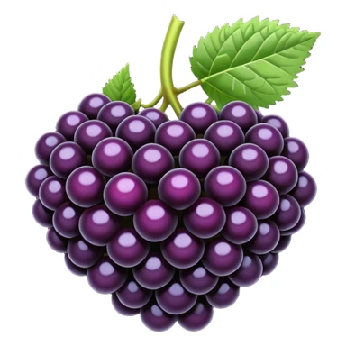 blackberries sticker