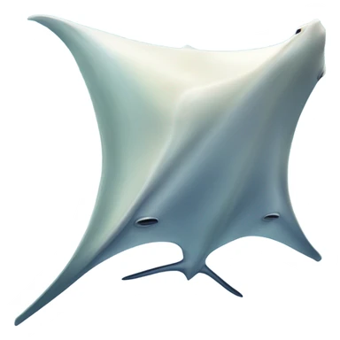 Manta ray  sticker