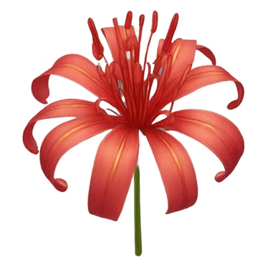 Red lycoris sticker