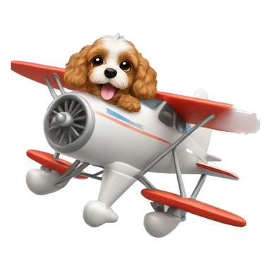 Cavapoo-flying-in-an-airplane sticker
