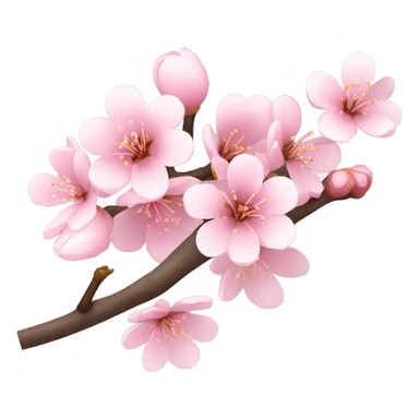 Light pink cherry blossom  sticker