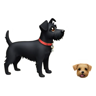 sun set in the beach with black terrier dog sticker