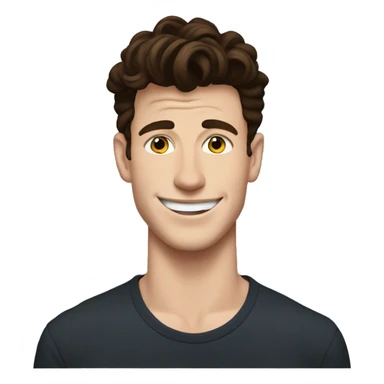 Shawn Mendes  sticker