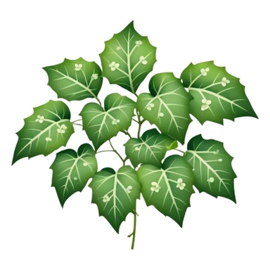 ivy plants with white spotted leaves sticker
