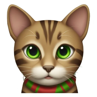 Brown striped cat with green eyes under a Christmas tree sticker