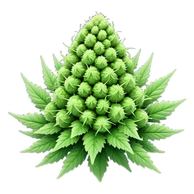 Cannabis nug  sticker