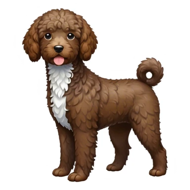 French water dog with white chest sticker