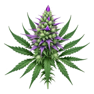 Cannabis plant with purple buds, crystal trichomes, and small wedding elements, wedding crasher strain sticker