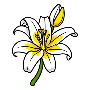 Delicate lily flower with white petals and yellow stamen, decorative design sticker