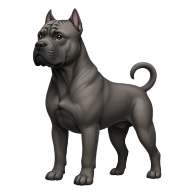 Cane Corso Dog Preliminary Acceptance Inspection sticker