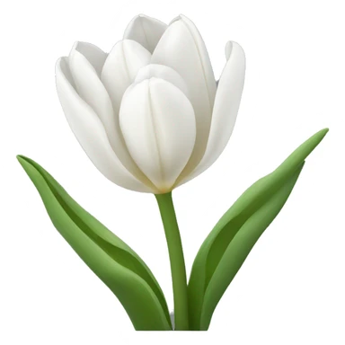 White tulips sticker