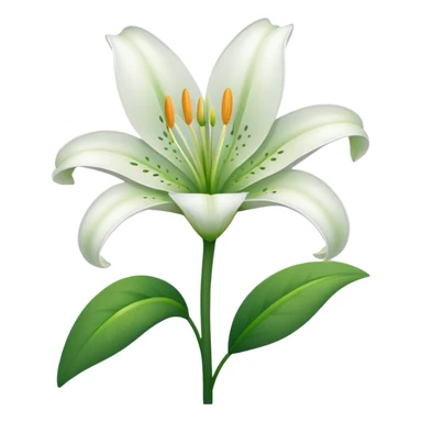 Lily flower sticker