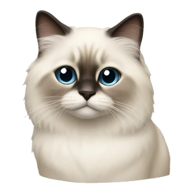 birman cat sticker
