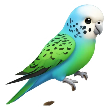 Budgie bird  sticker
