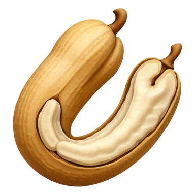 Noix de cajou sticker