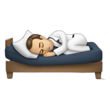 Macron sleeping sticker