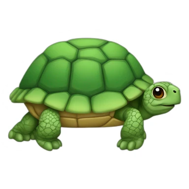 Bébé tortue sticker