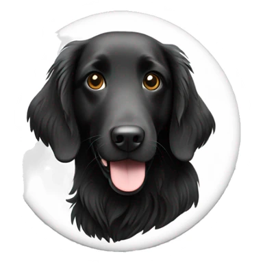 flatcoated retriever dog black and white  sticker