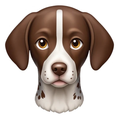 German short haired pointer  sticker