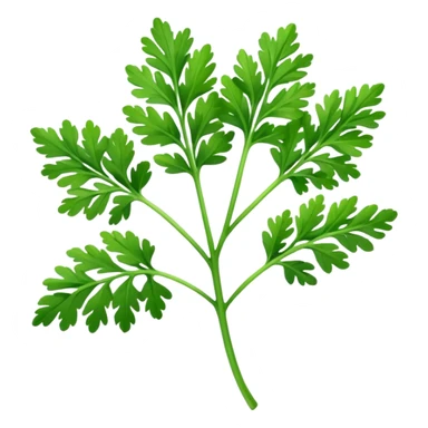 Hoja de perejil  sticker