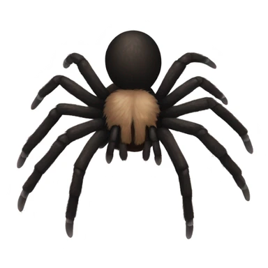 black and brown tarantula with a white bow  sticker