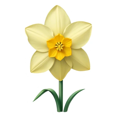 narcissus flower sticker