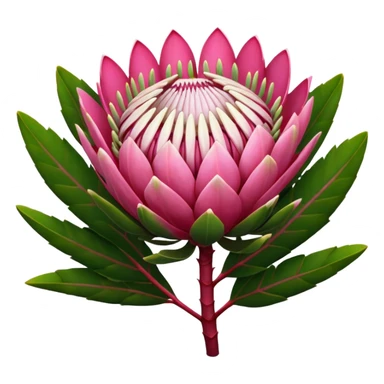 Protea sticker