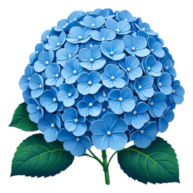 Blue hydrangeas flower￼ sticker