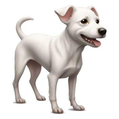 Small full body crusty white dog rat dog sticker