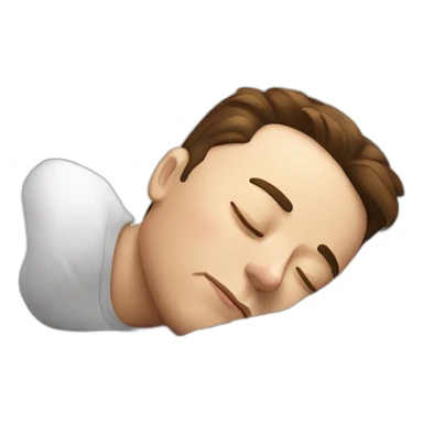 elon musk sleeping sticker