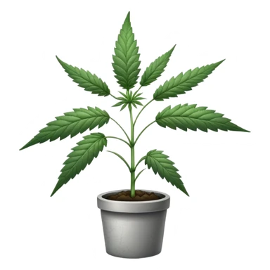 cannabis grey  sticker