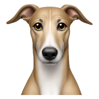 tan greyhound with faint black brindle striping sticker