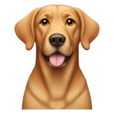 a labrador with ginger color fur and floppy ears  sticker